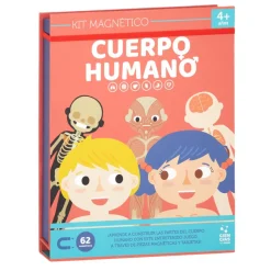 Kit de cuerpo humano magnético