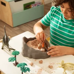 Kit de excavación de fósil dinosaurios