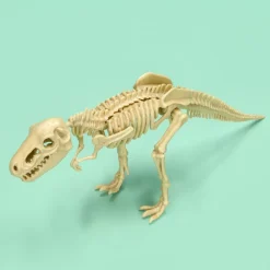 Kit de excavación de fósil dinosaurios
