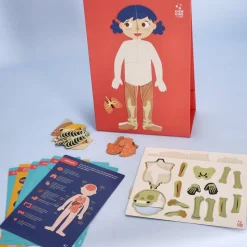 Kit magnético “Cuerpo humano”