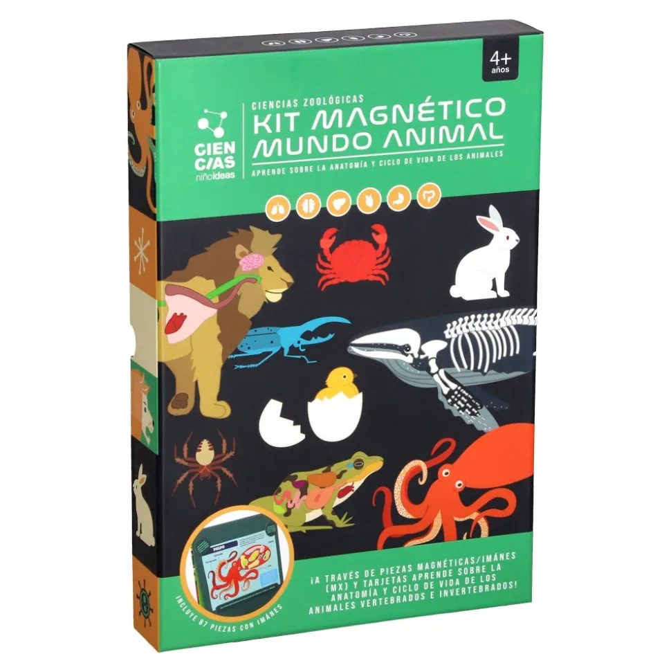 Kit magnético “Mundo Animal”