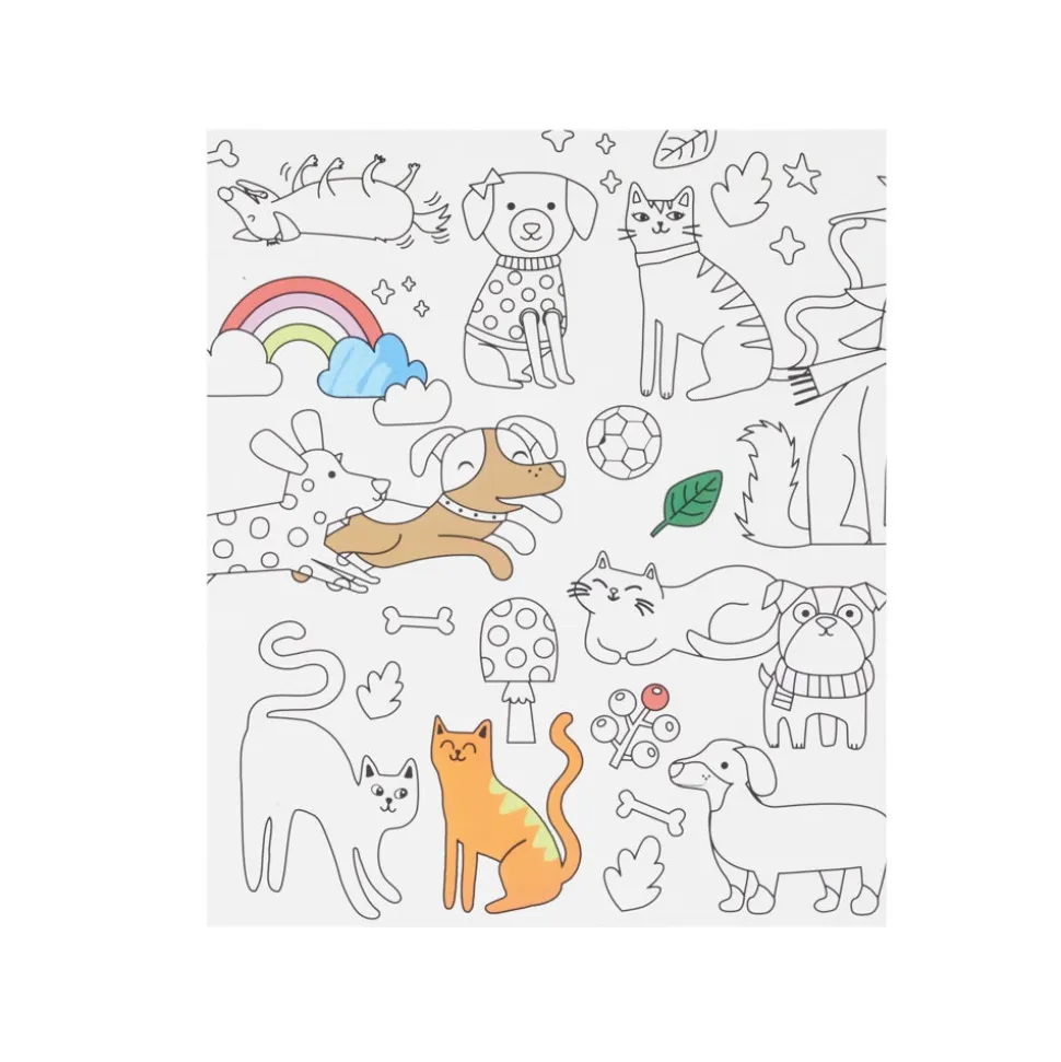 Libro para pintar animales 24x1,2x28 cm