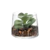 Maceta de vidrio con cactus