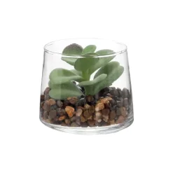 Maceta de vidrio con cactus