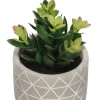 Maceta Terracota Cactus 15,5x21 cm