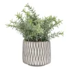 Maceta texturada con planta