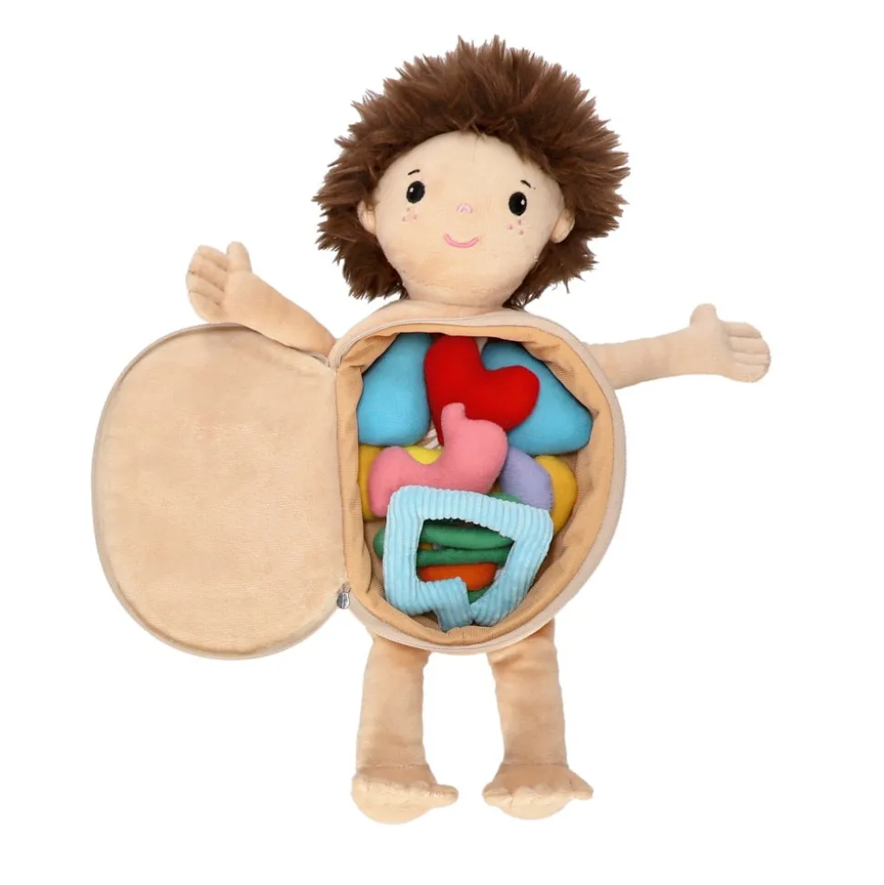Muñeco anatomía textil