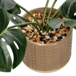 Planta con maceta 18x34 cm