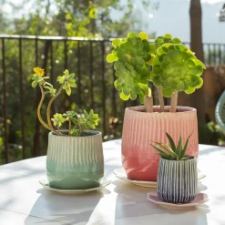 Plato para macetero con forma de flor 24 cm