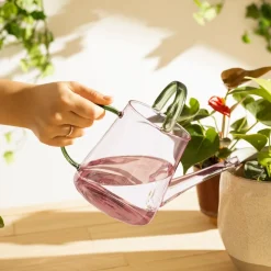 Regadera de vidrio borosilicato 1 L