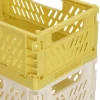 Set 2 canastos plegables de plástico 22x14,5x9 2 litros